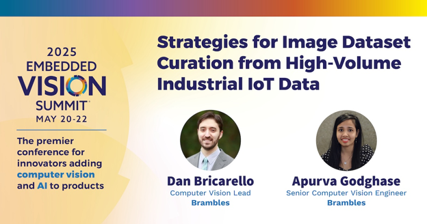 Strategies for Image Dataset Curation from High-Volume Industrial IoT Data - Brambles
